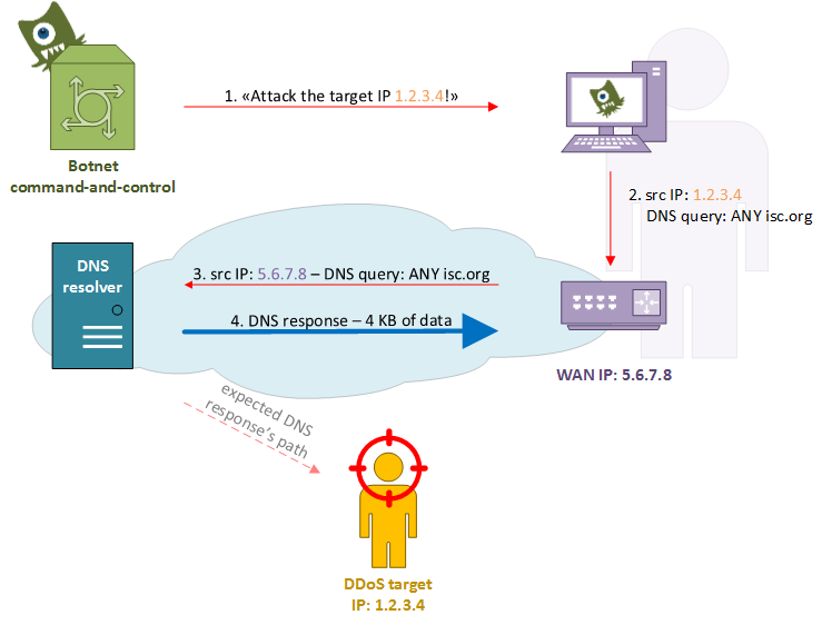 Dns amplification что это