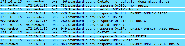 DKIM key validated using DNSSEC as seen by Wireshark